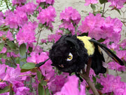 Ruffian Bumblebee