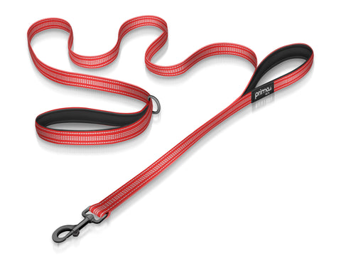 Medium Reflective Dog Leash with Padded Handles - Red