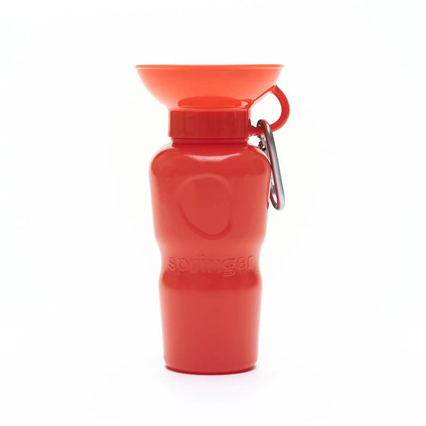 Springer Travel Water Bottle