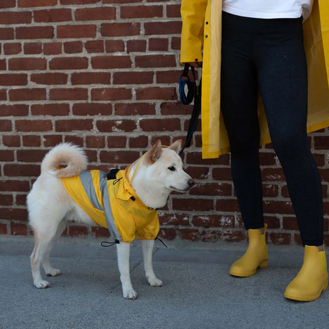 Gooby Wind Runner Anorak