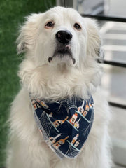 Love Tundra & Reva Bandana’s
