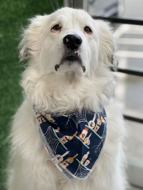 Love Tundra & Reva Bandana’s
