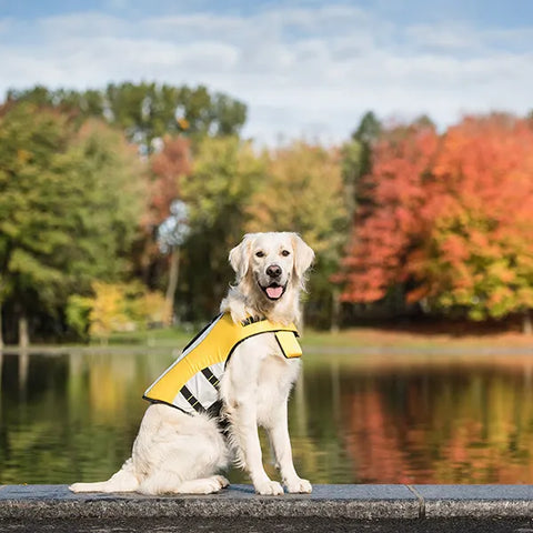 GF Pet Life Jacket