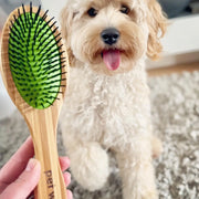Double Sided Pin & Bristle Bamboo Brush for Dog Grooming