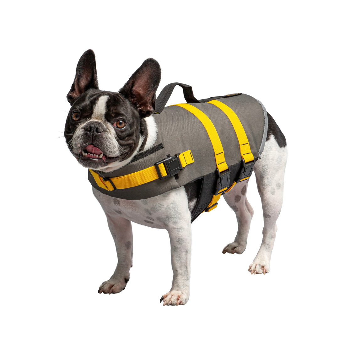 Boston terrier life jacket hotsell