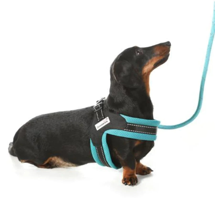 Doodlebone Boomerang Dog Harness 2 colours 4 sizes The Pet Store Victoria