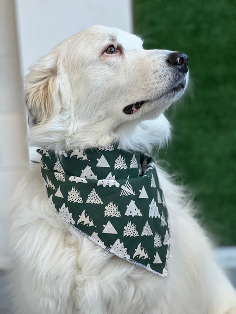 Love Tundra & Reva Bandana’s