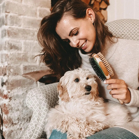 Double Sided Pin & Bristle Bamboo Brush for Dog Grooming