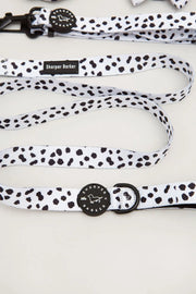Dog Leash with Comfort Padded Handle - Dalmatian