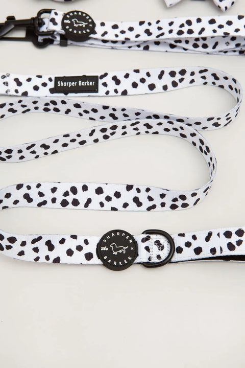 Dog Leash with Comfort Padded Handle - Dalmatian